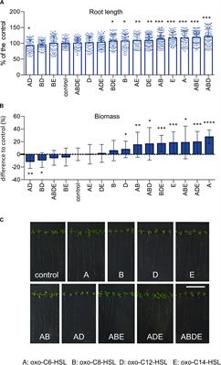 do different kinds of music make the bacteria grow differently